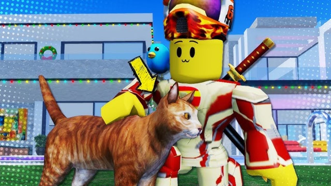 I Had 5 Cats One of Them Escaped Roblox
